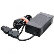 Dynacore Dual D-tap Charger